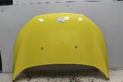 View Auto part Bonnet Ford Ecosport 2013