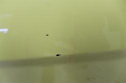 View Auto part Left Front Door Ford Ecosport 2013