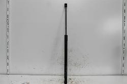 View Auto part Hatch Strut Ford Ecosport 2013
