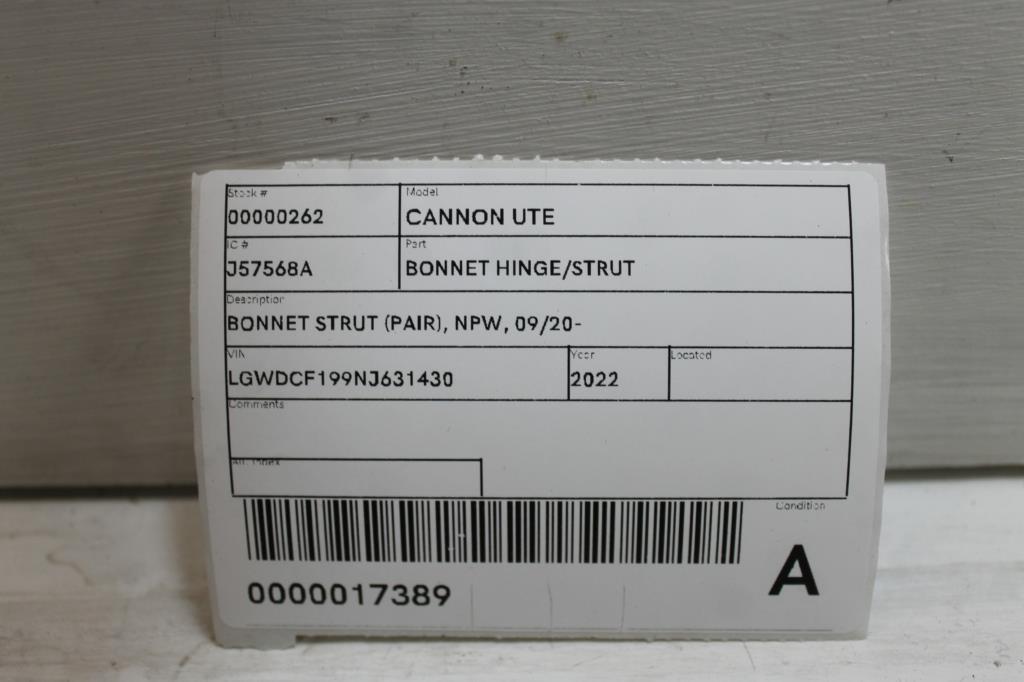 View Auto part Bonnet Hinge/Strut Great Wall Cannon Ute 2022