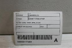 View Auto part Bonnet Hinge/Strut Great Wall Cannon Ute 2022